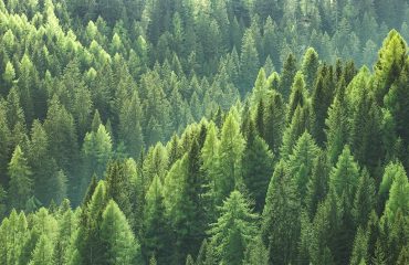 Impresión ecológica