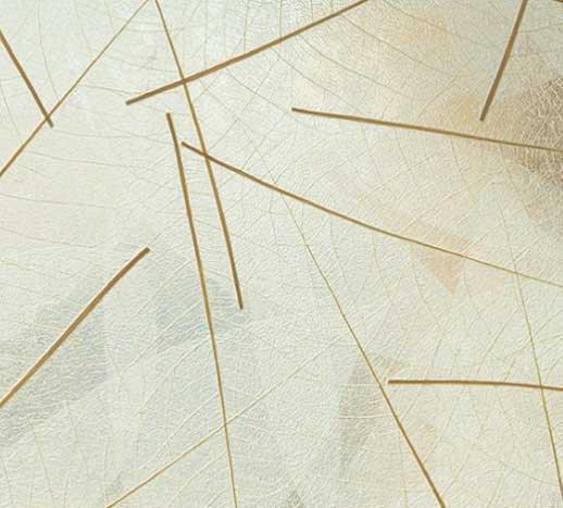 Impresión en gran formato Skellet Leaves