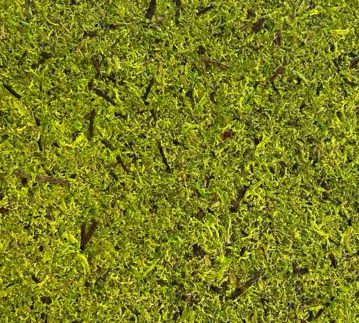 vinilo adhesivo orgánico Moss Bright Green