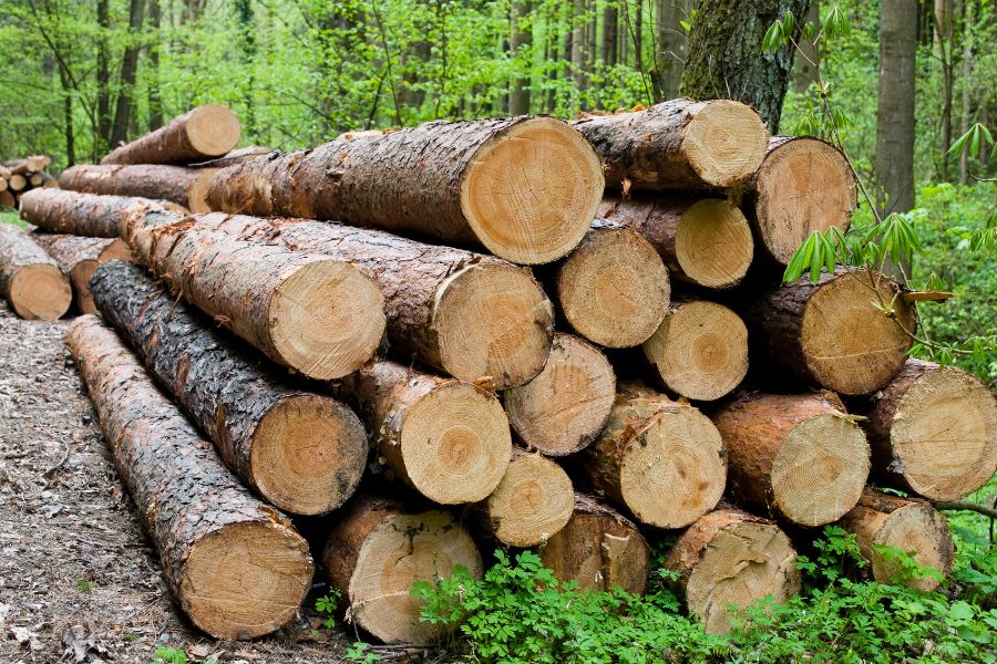 impresión ecológica