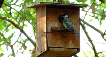 impresión ecológica