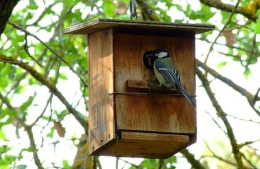 impresión ecológica impresión ecológica