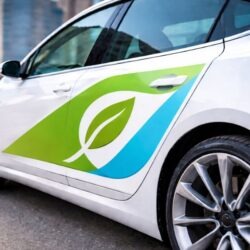 vinilos para cristales