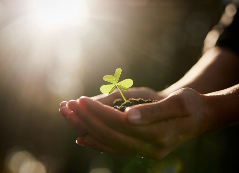 Impresión ecológica